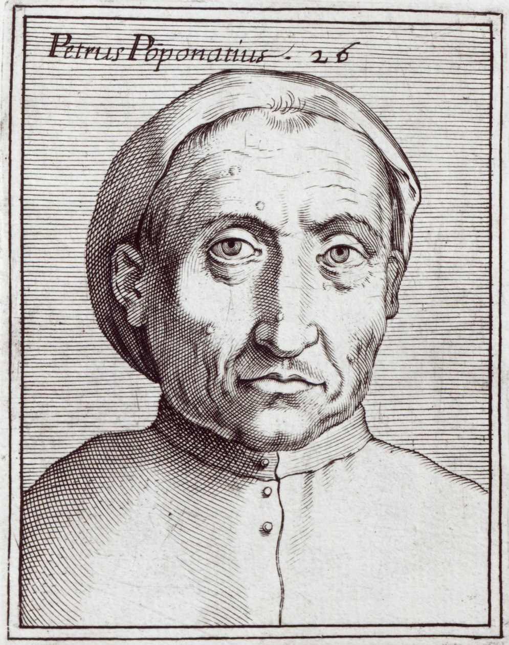 Pietro Pomponazzi da Italian School