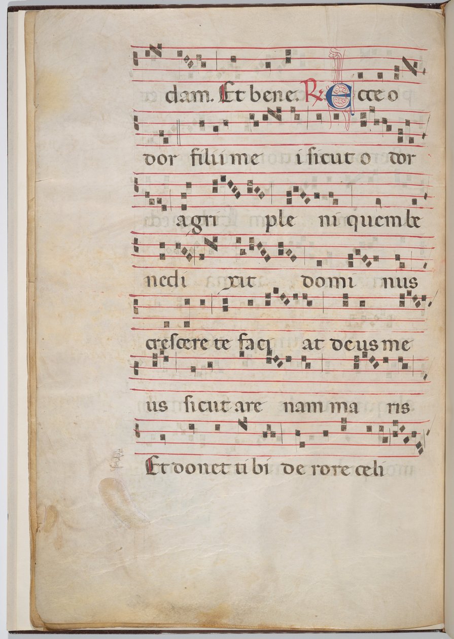 Foglio 8 da un Frammento di Antifonario (verso) da Italian 13th Century