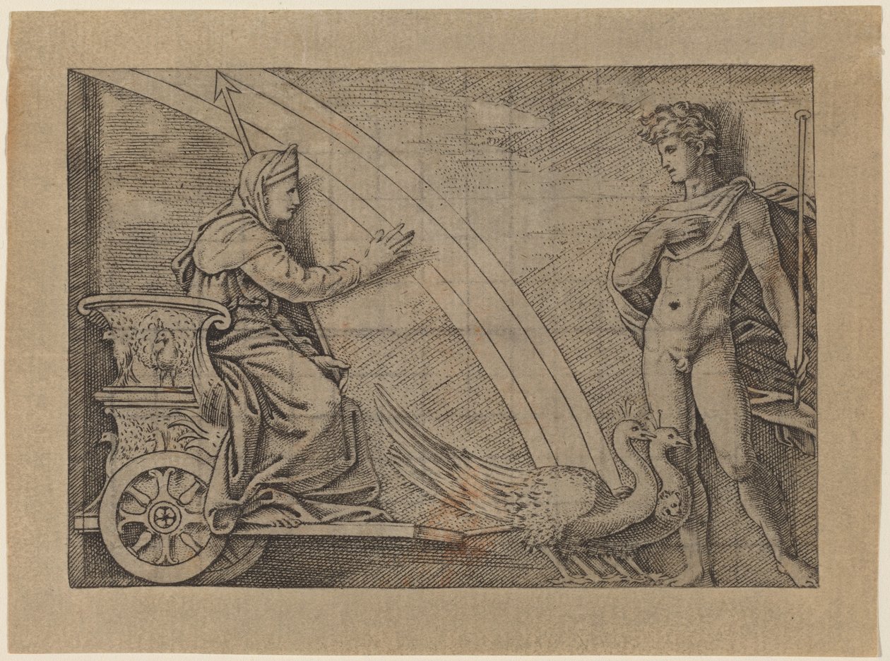 Giunone su un carro trainato da pavoni da Italian 16th Century