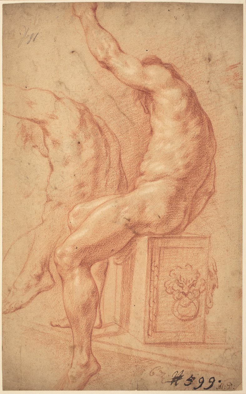 Un nudo seduto da Italian 17th Century