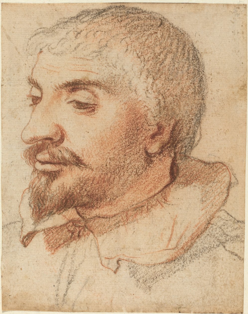 Testa di un Uomo da Italian 17th Century