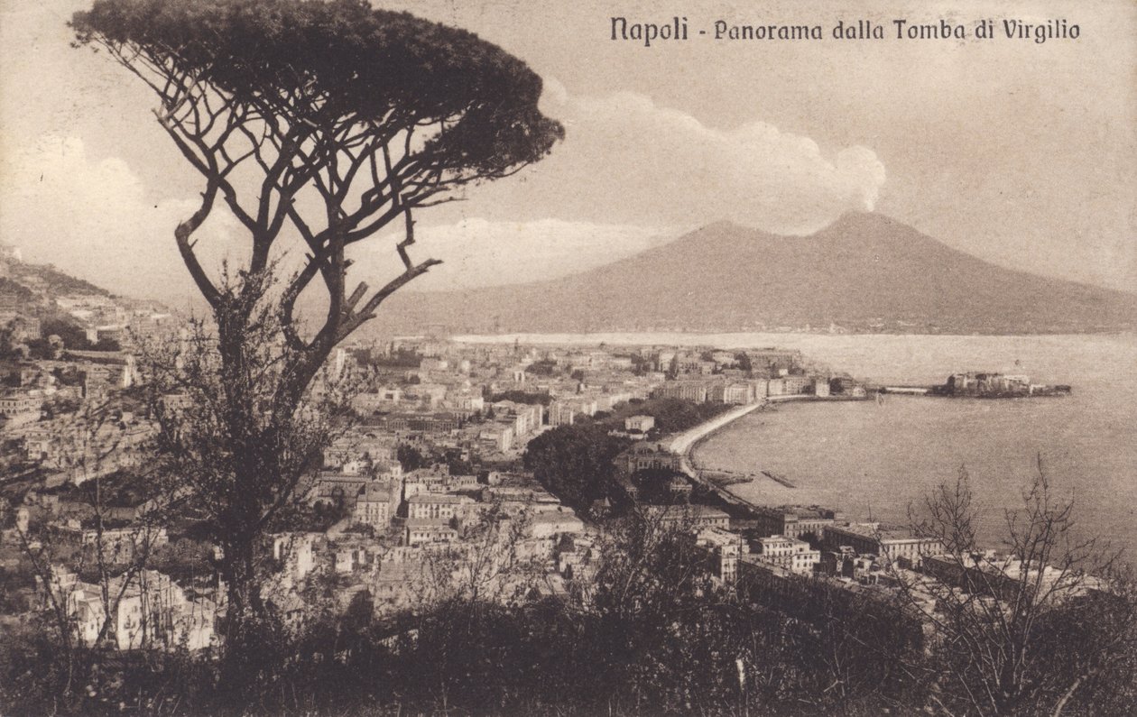 Naples - Napoli, Panorama dalla Tomba di Virgilio (b/w photo) da Italian Photographer