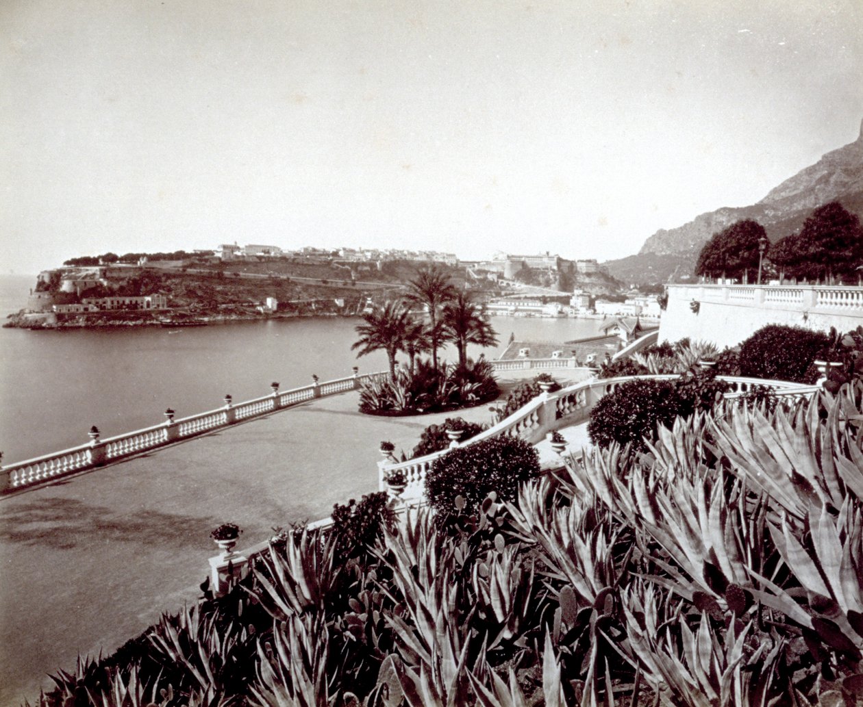 Panorama di Montecarlo. In primo piano, vegetazione densa di piante di agave e cactus da Italian Photographer
