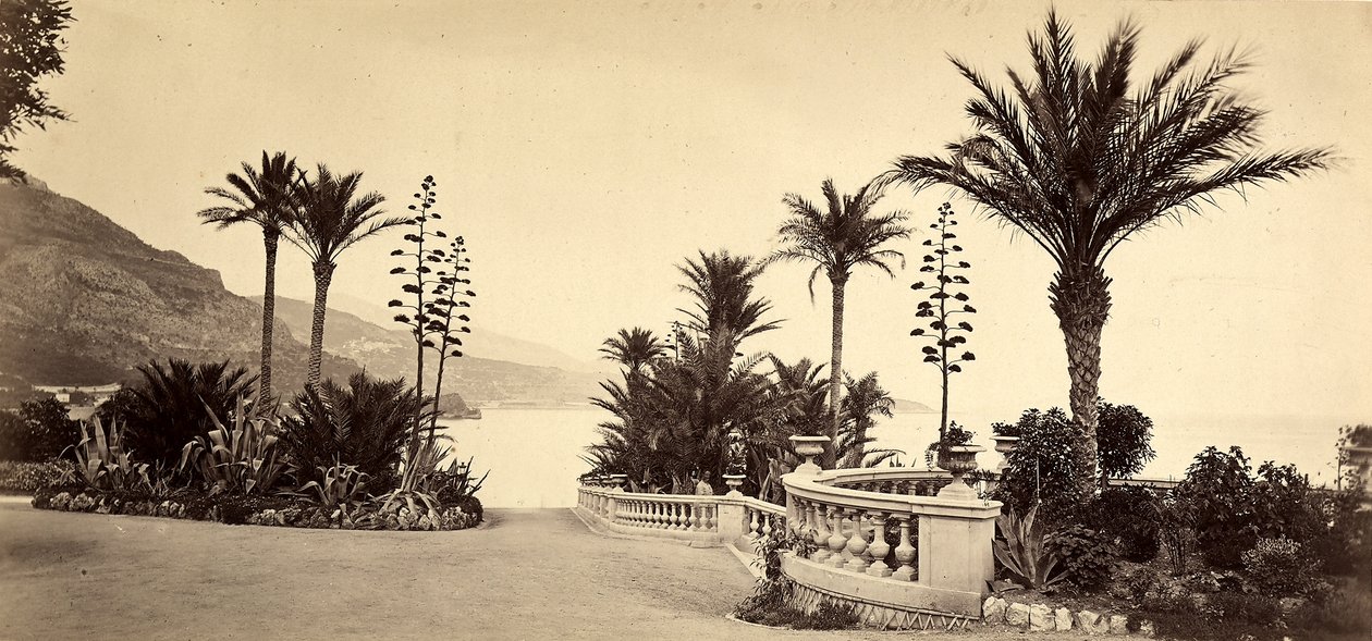 Il giardino del Casinò di Montecarlo, nel Principato di Monaco da Italian Photographer