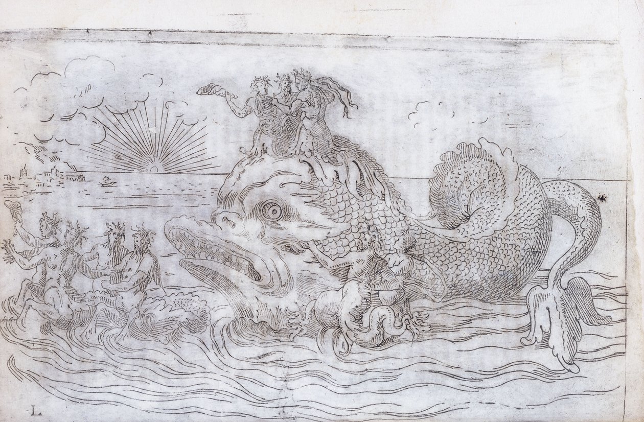Un carro di pesci fantastico, 1579 da Italian School