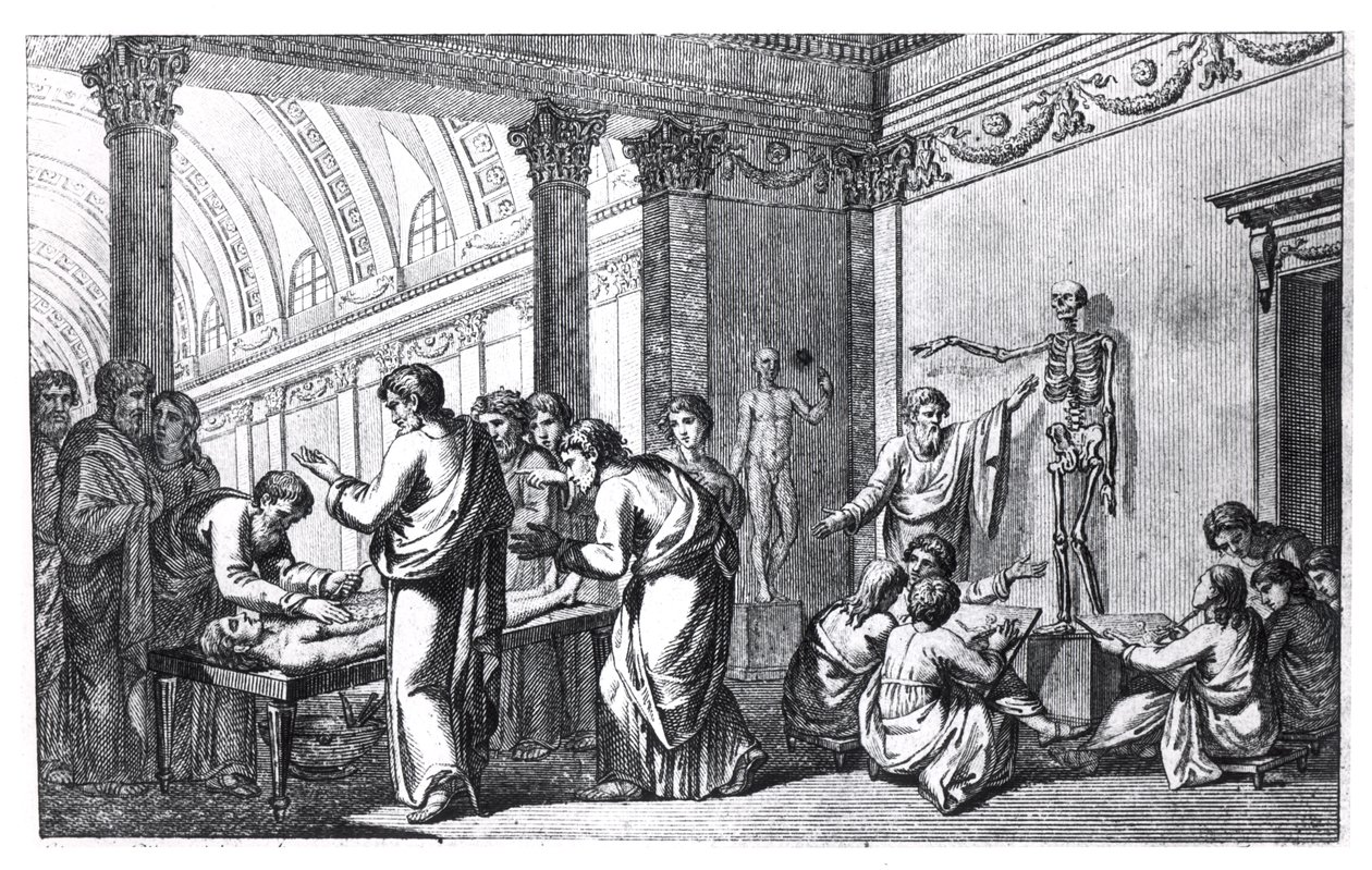 Una scuola di anatomia nell