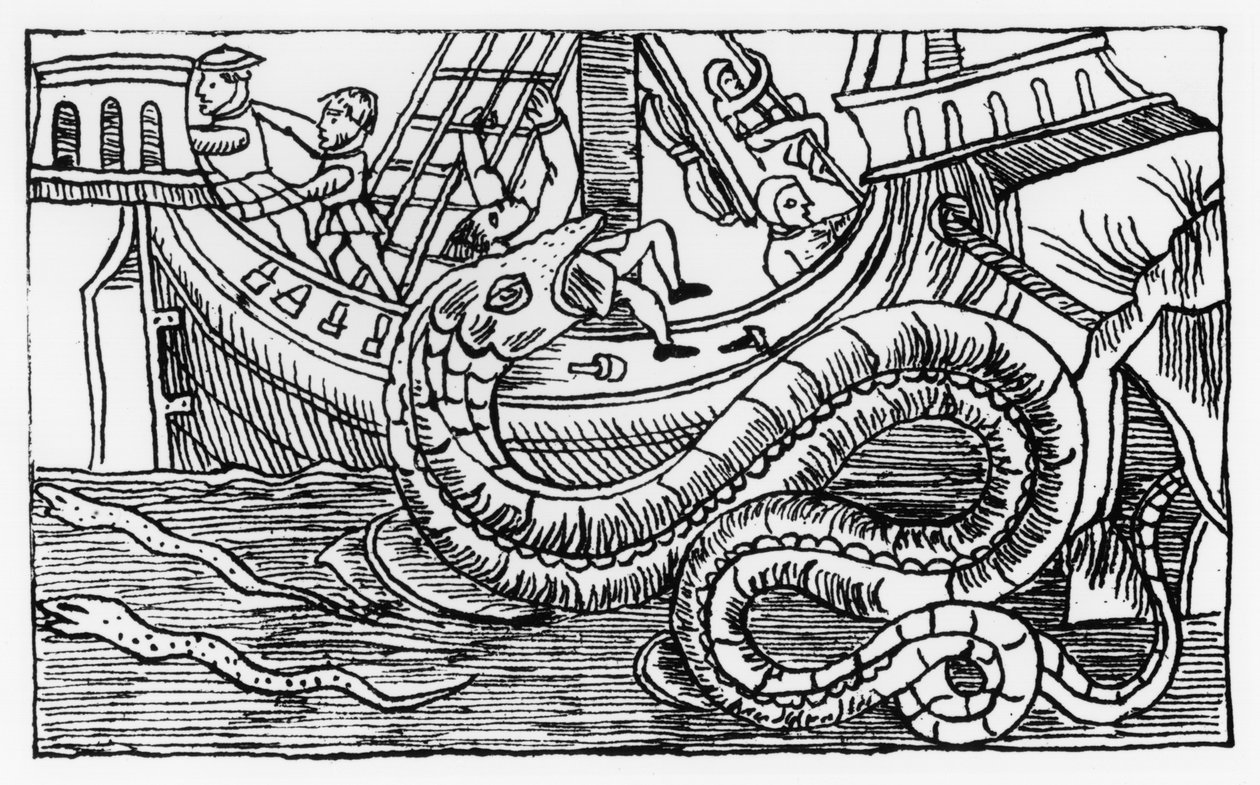 Un serpente marino, da 