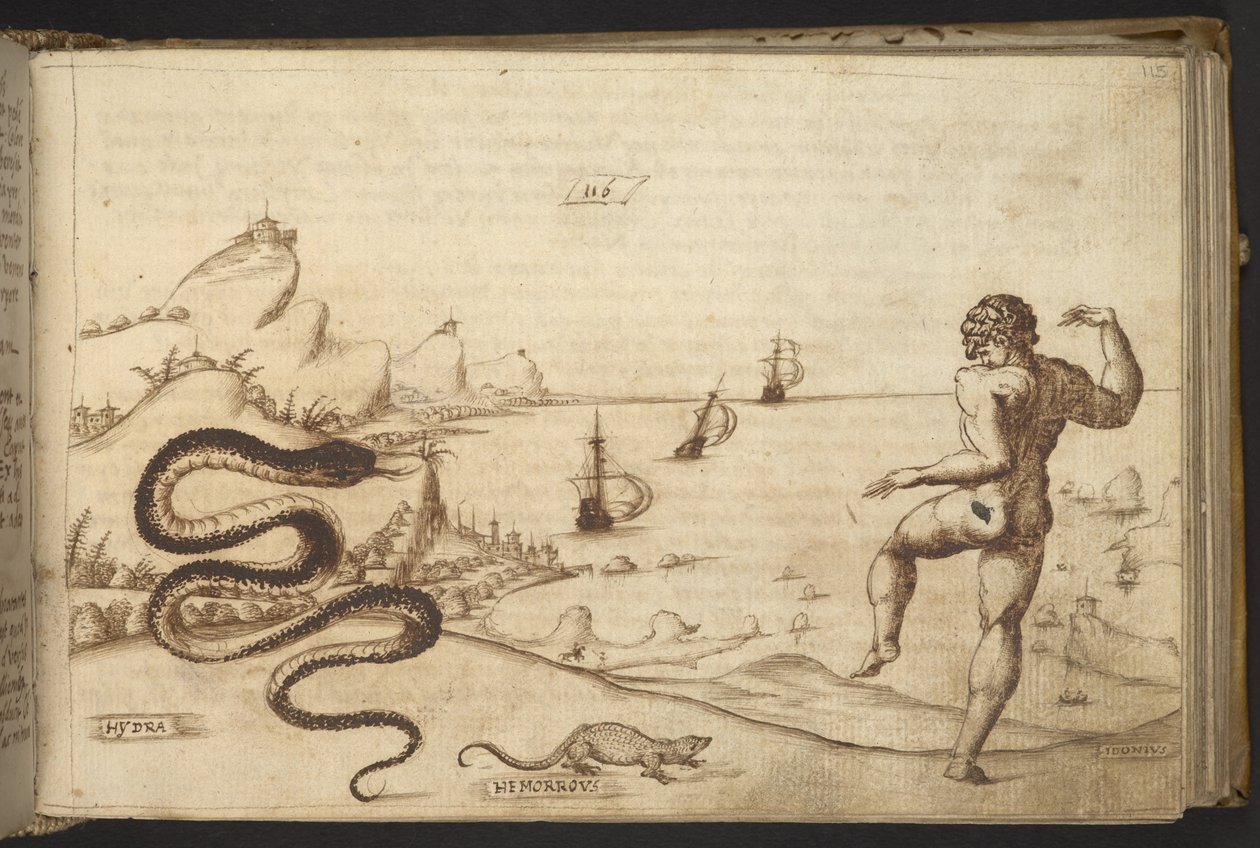 Add. 82955, f.115 Serpente (