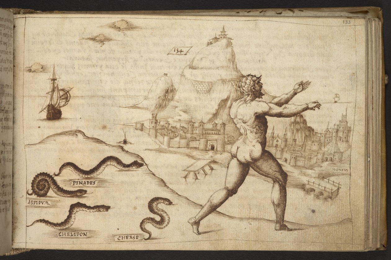 Add. 82955, f.133 Serpenti che inseguono una figura umana, da Historia Animalium, (consistente in 245 disegni a penna e inchiostro di diverse specie di animali e creature mitiche, ciascuno accompagnato da una descrizione.) 1595 da Italian School