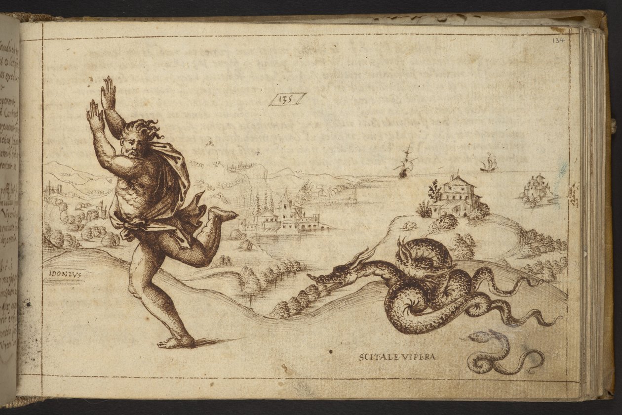 Figura umana inseguita da serpenti, da Historia Animalium da Italian School