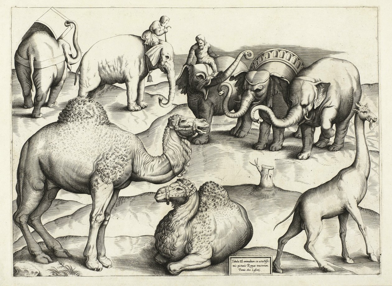 Dipinti di animali dall