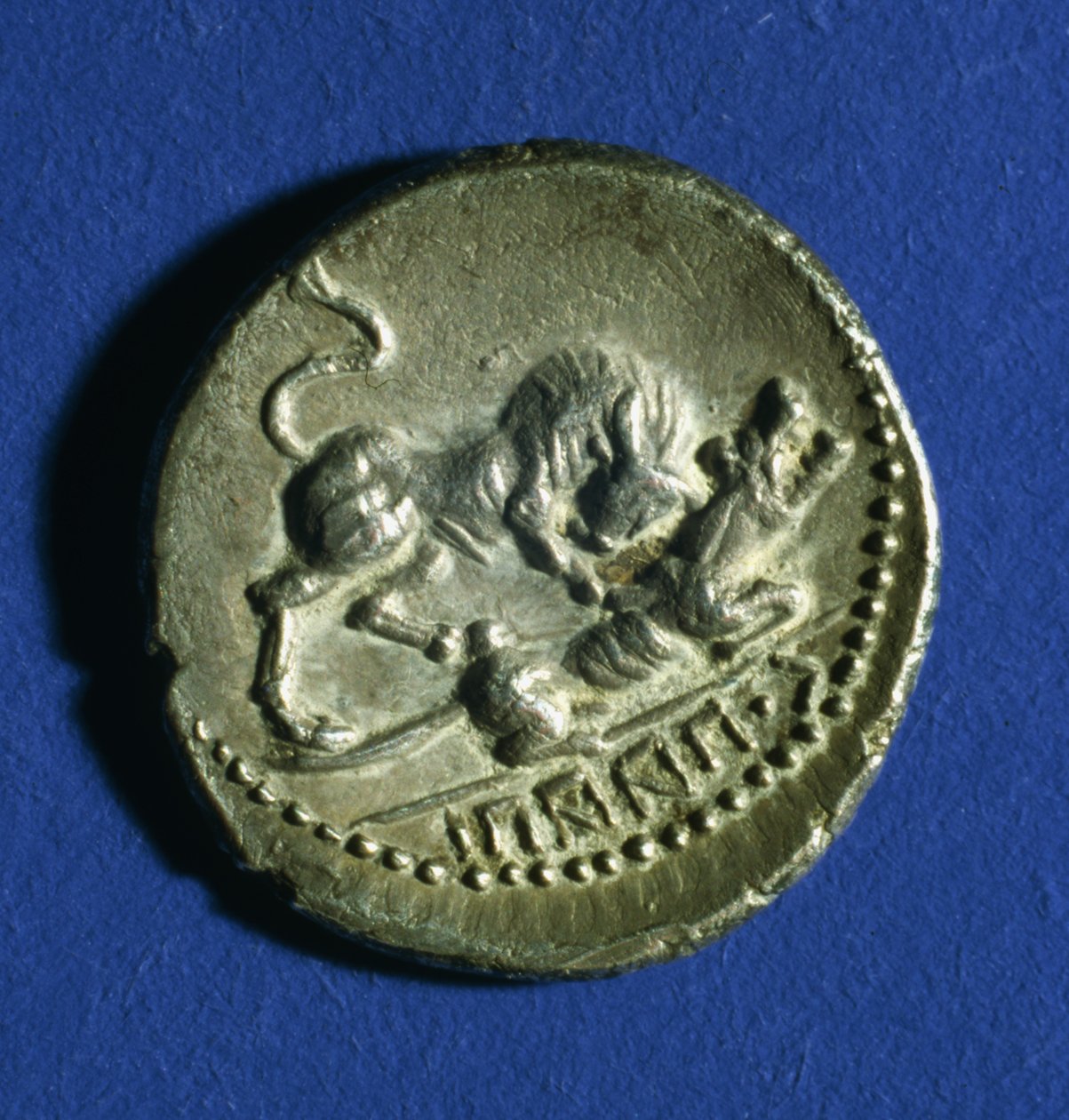 Moneta delle Tribù Italiche che mostra un toro che attacca la lupa romana, 89-90 a.C. da Italian School