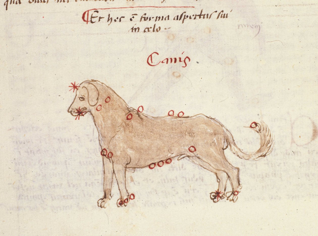 Costellazione del cane (Canis). Miniatura da 