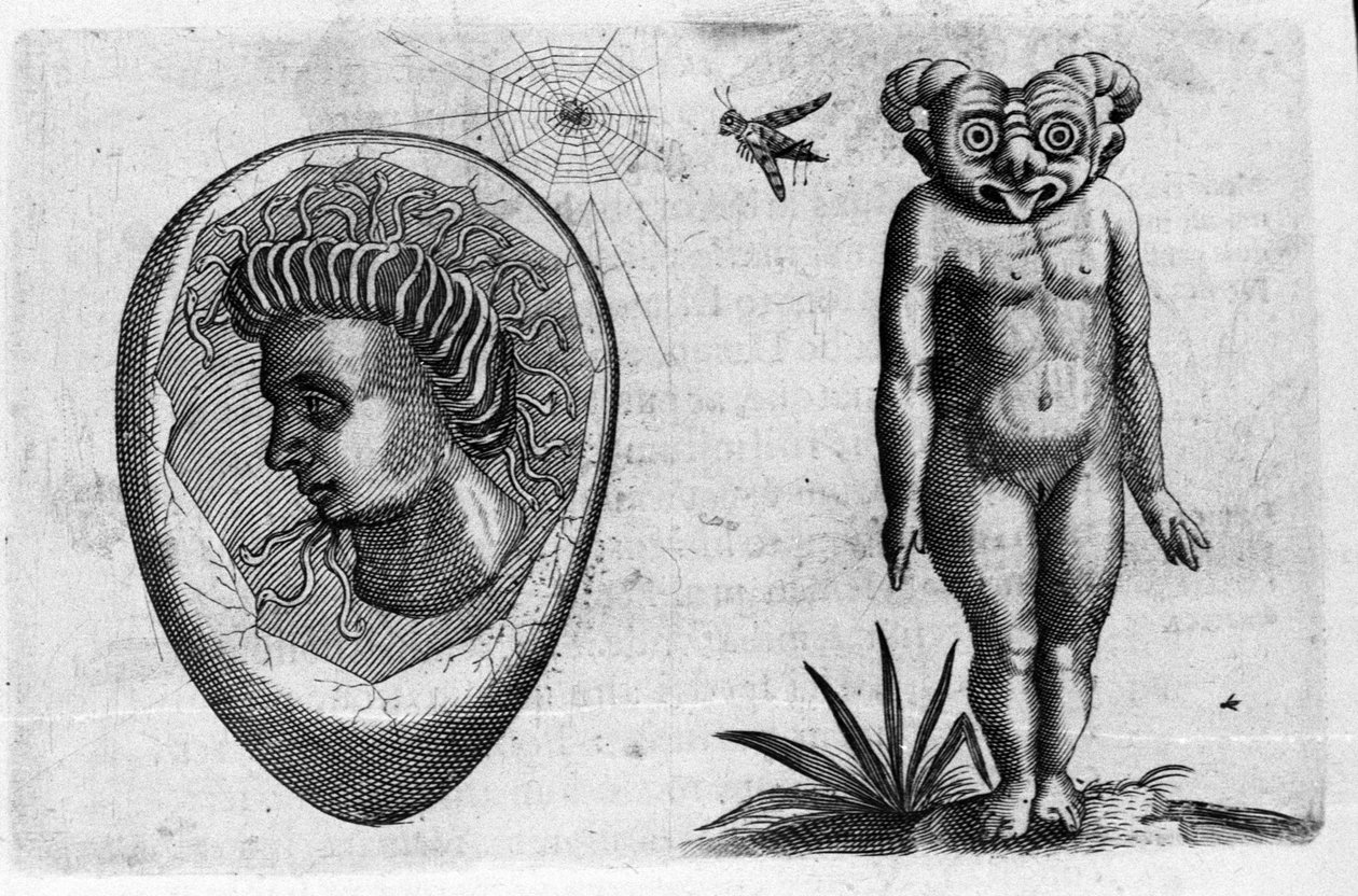 Diversi tipi di mostri umani: un uomo fossile e un mostro. Incisione da 