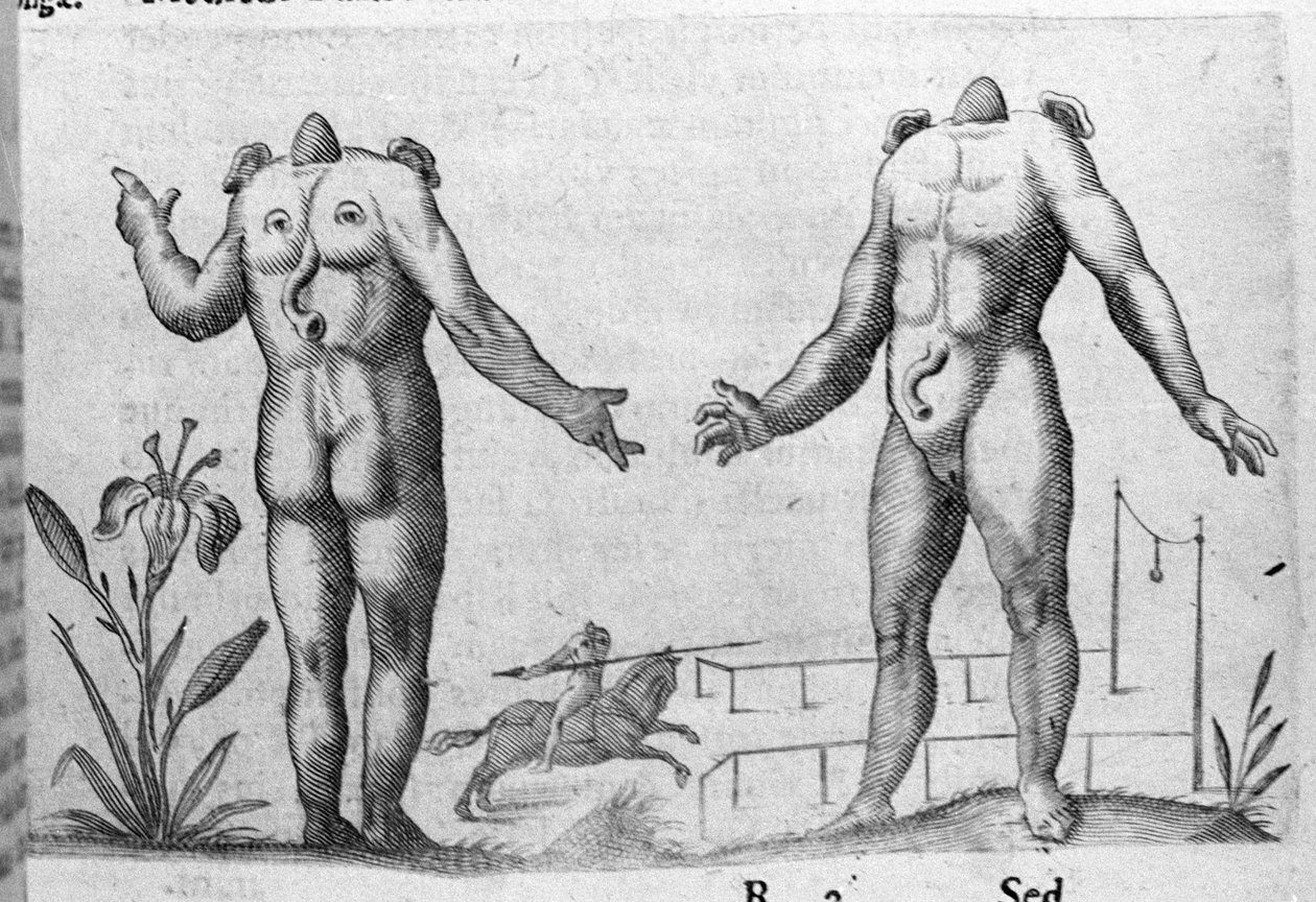 Diversi tipi di mostri umani: un uomo senza testa. Incisione da De monstrorum natura, causis et differentiis di Fortunio Liceti (1577-1656), scienziato italiano. 1646 da Italian School
