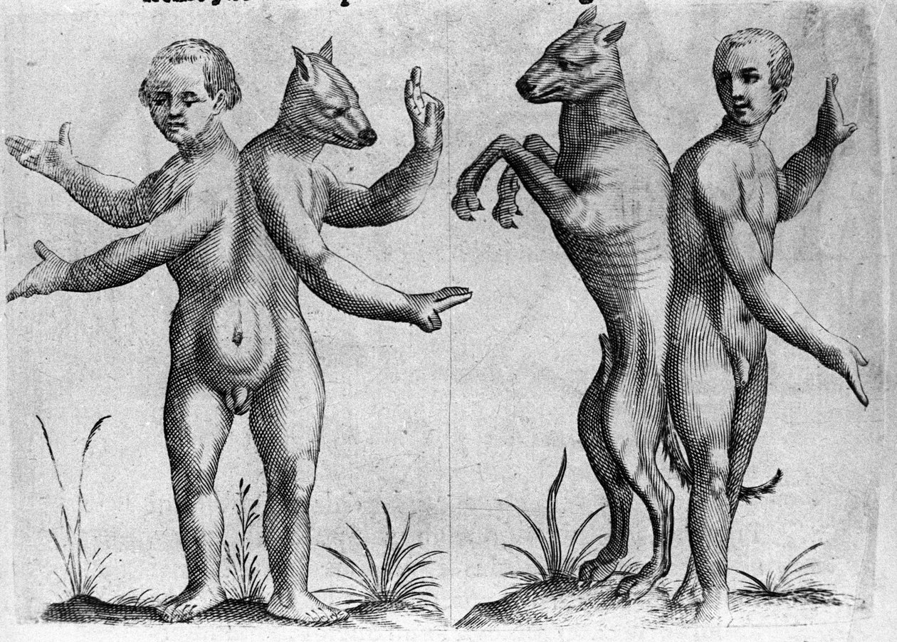 Diversi tipi di mostri umani: due creature con corpi doppi, metà uomo e cane (siamesi). Incisione da 