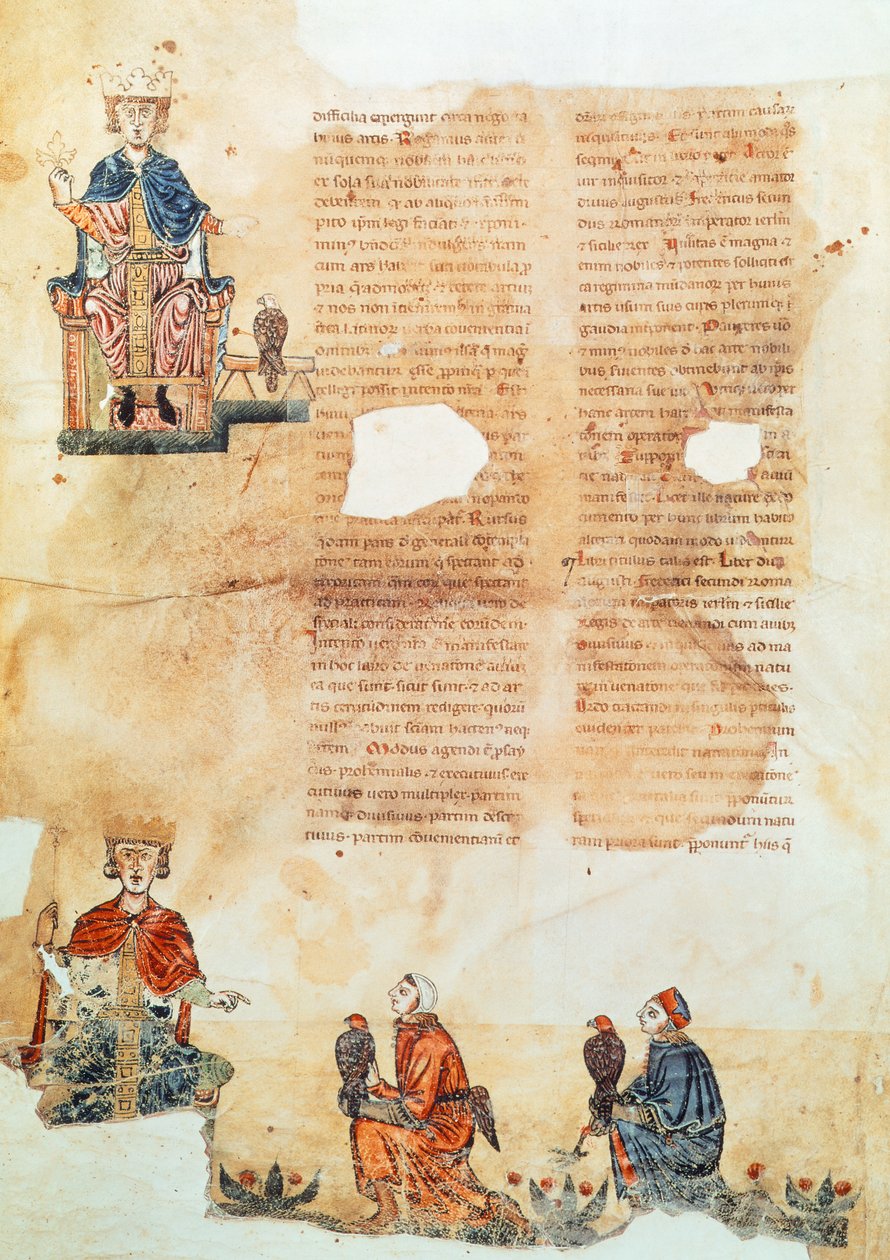 Imperatore Federico II di Hohenstaufen, illustrazione da 