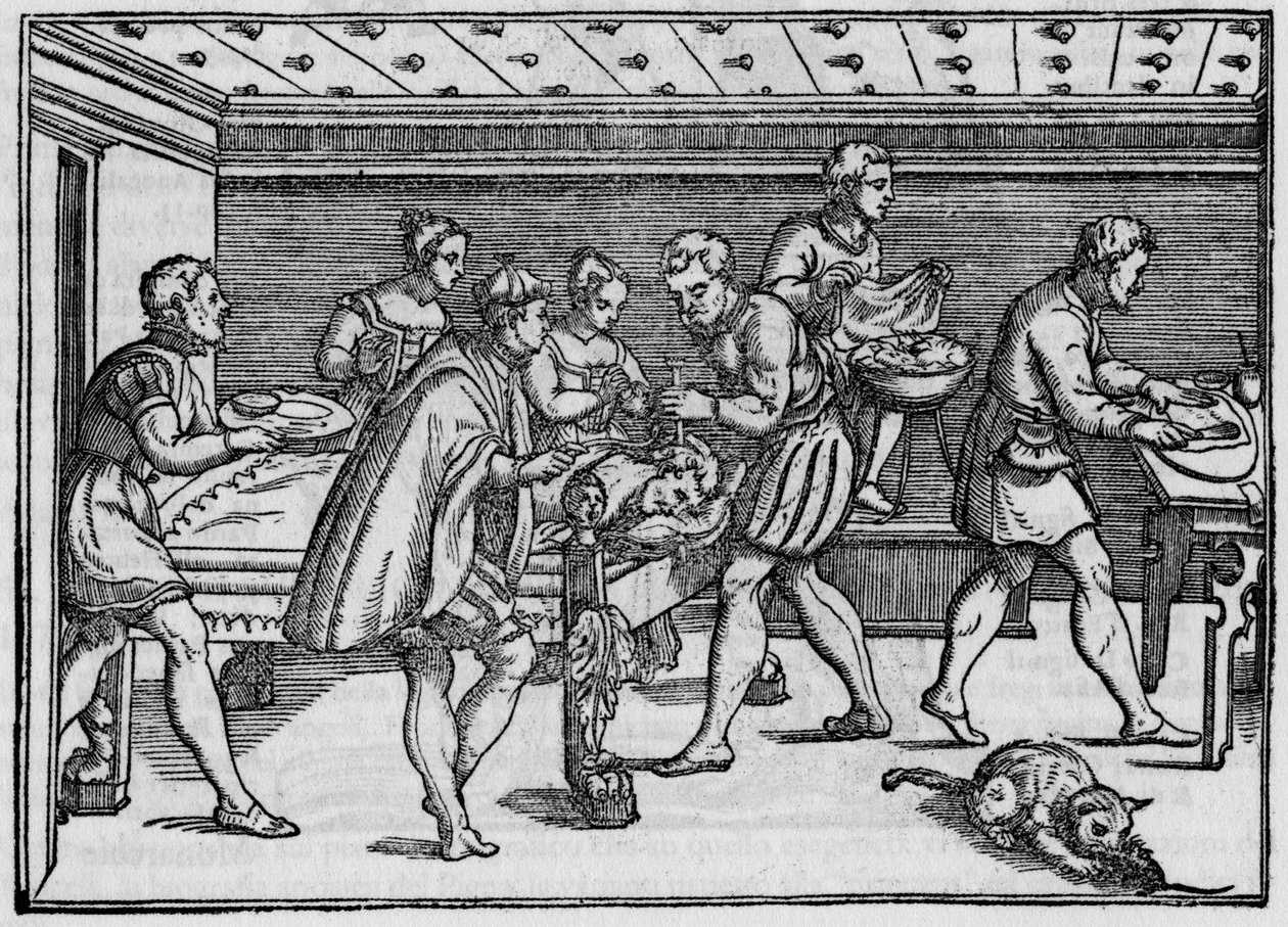 Incisione del 1574 in "Della Cirurgia" (Sulla chirurgia) di Giovanni Andrea dalla Croce, chirurgo italiano da Italian School