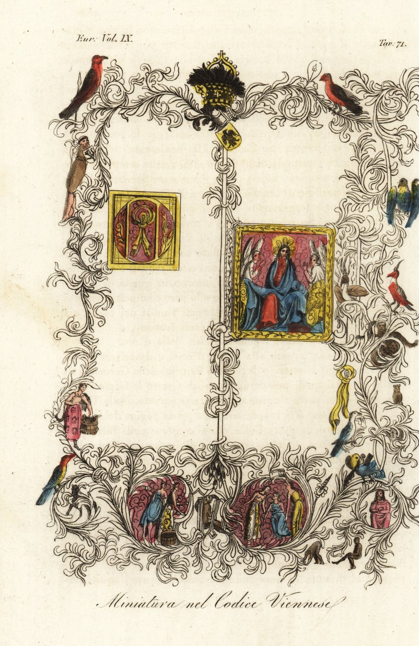Prima pagina del famoso Codice di Vienna della Bolla d