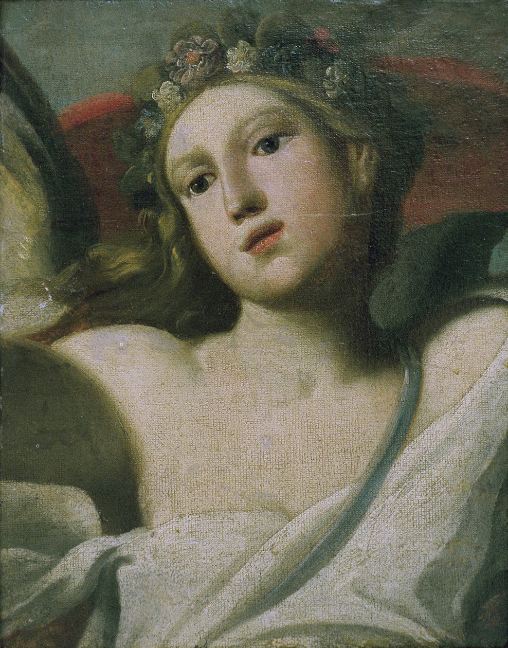 Flora da Italian School