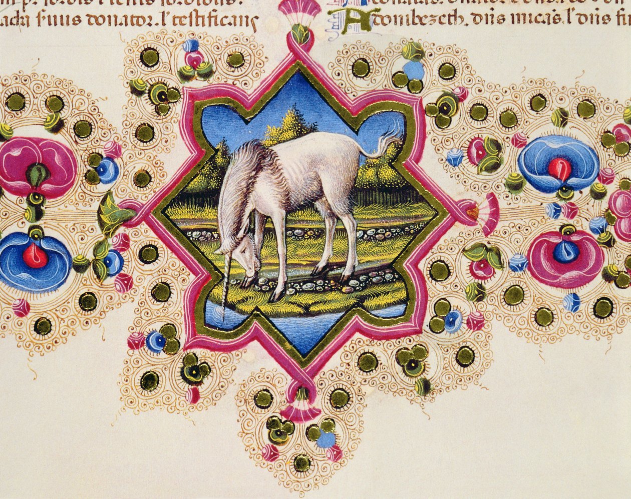 Fol.245V Un unicorno, dalla Bibbia di Borso d