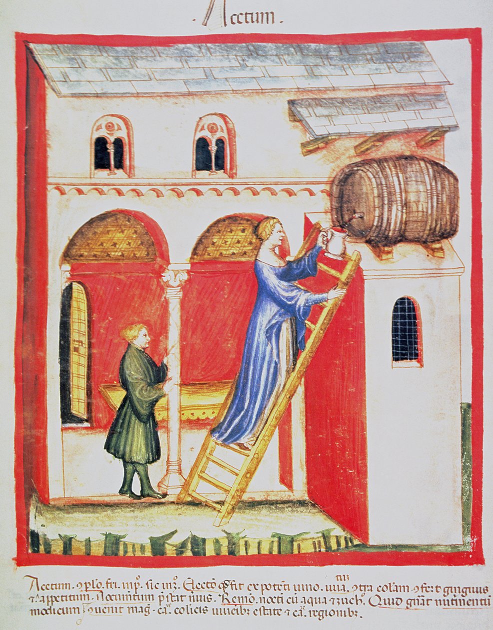 Fol.85v Aceto, illustrazione dal Tacuinum Sanitatis Codex Vindobonensis da Italian School