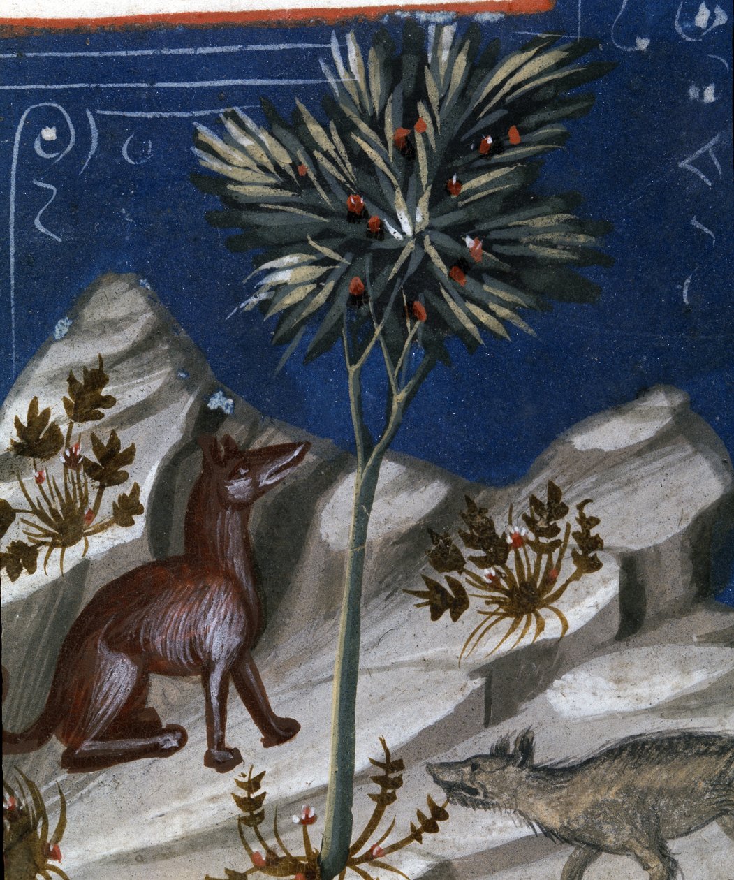 Volpe e lupo, illustrazione dal "Codex Justianus", 1350 da Italian School