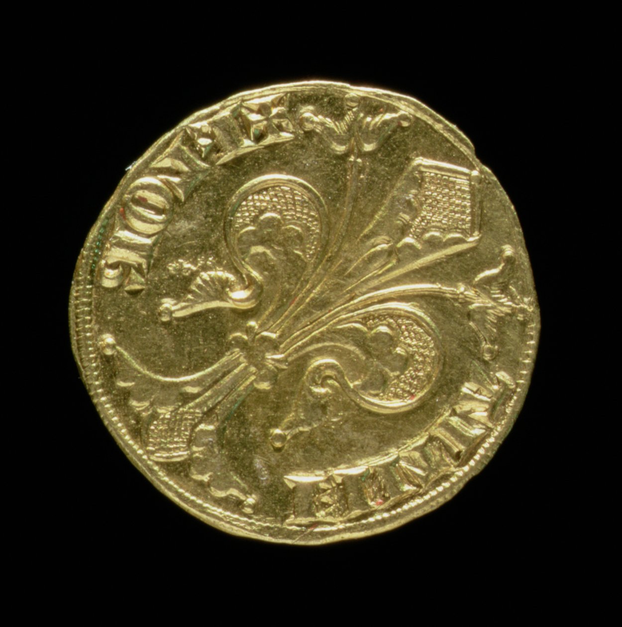 Fiorino d