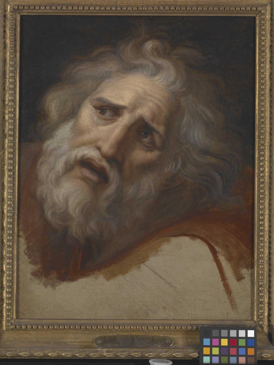 Testa di Laocoonte da Italian School
