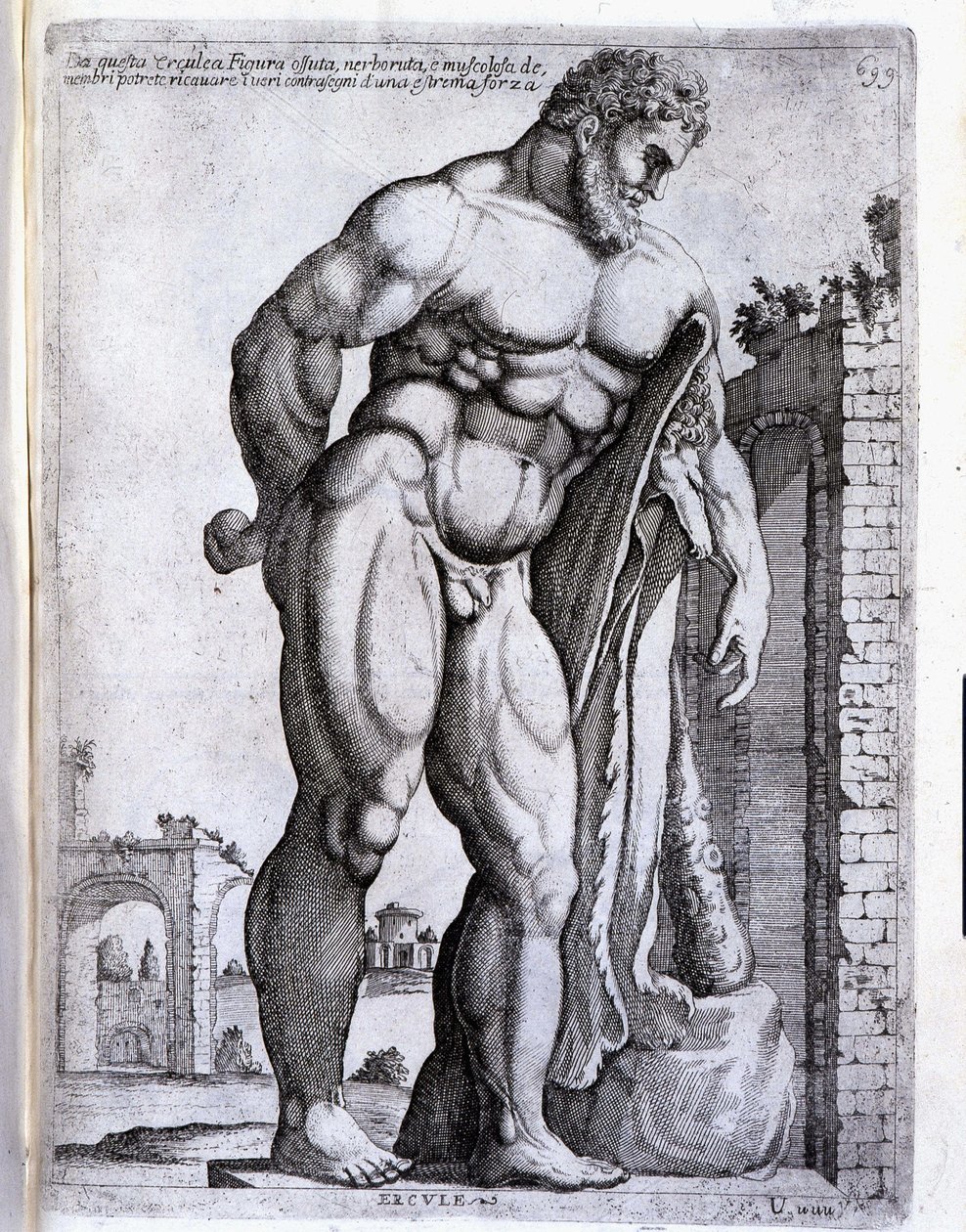 Ercole - in "Opera di Giuseppe d