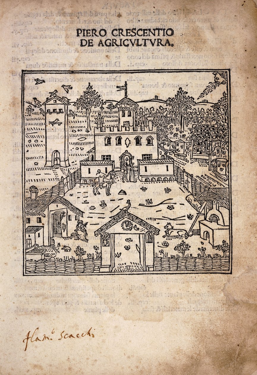 Pagina del titolo illustrata da 