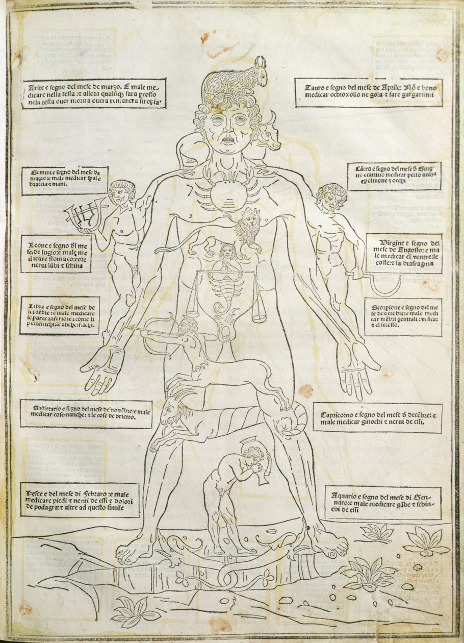 Illustrazione da 