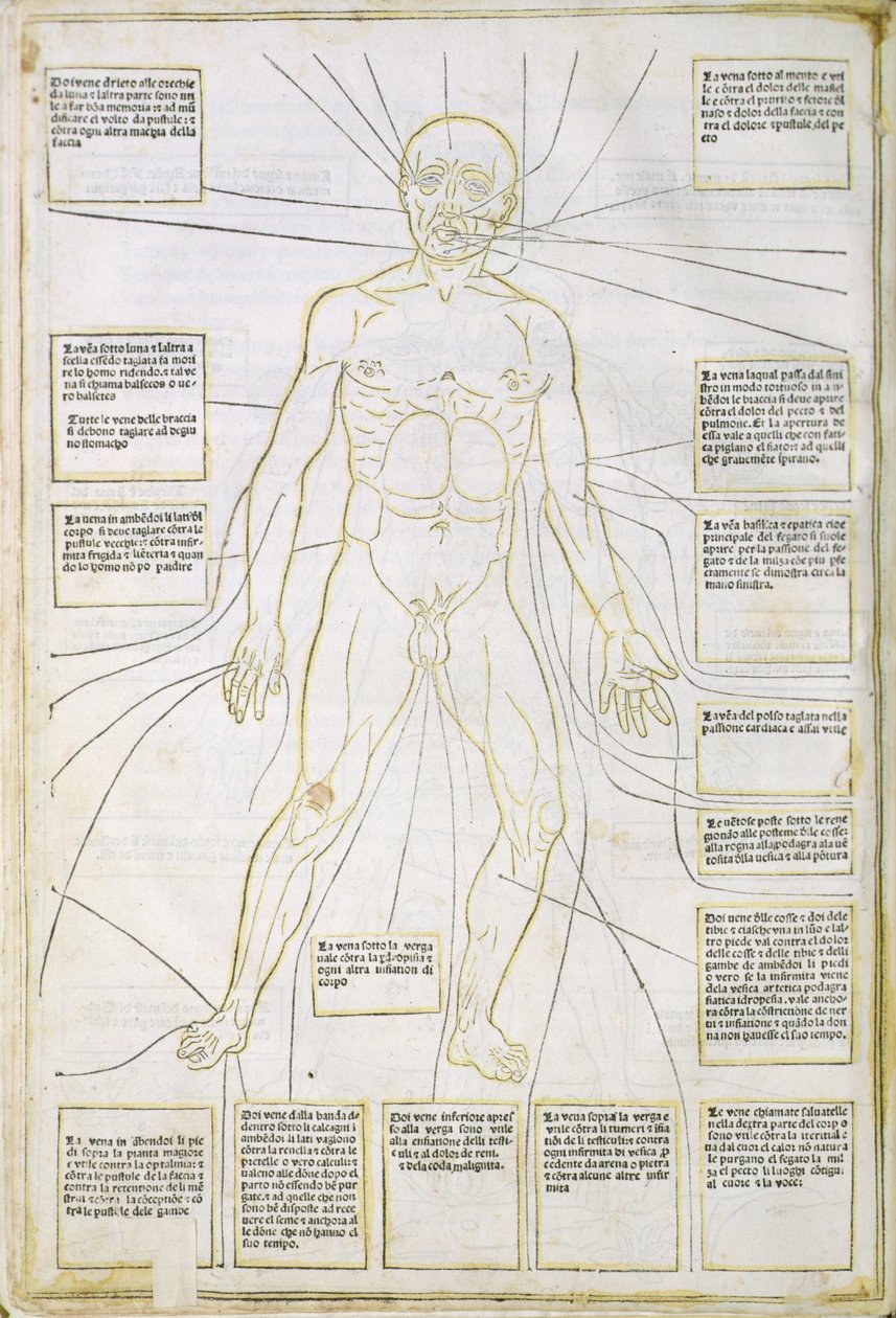 Illustrazione da 