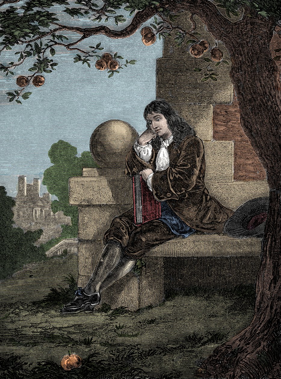 Isaac Newton osserva una mela cadere mentre è seduto sotto un albero da Italian School