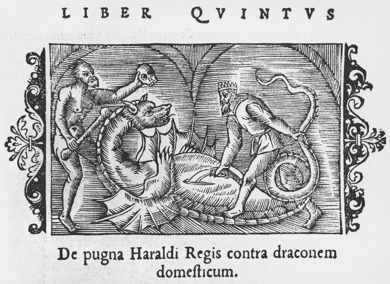 Re Harald che combatte un drago, illustrazione da Historia de Gentibus Septentrionalibus di Olaus Magnus (1490-1558), pubblicato a Roma, 1555 da Italian School