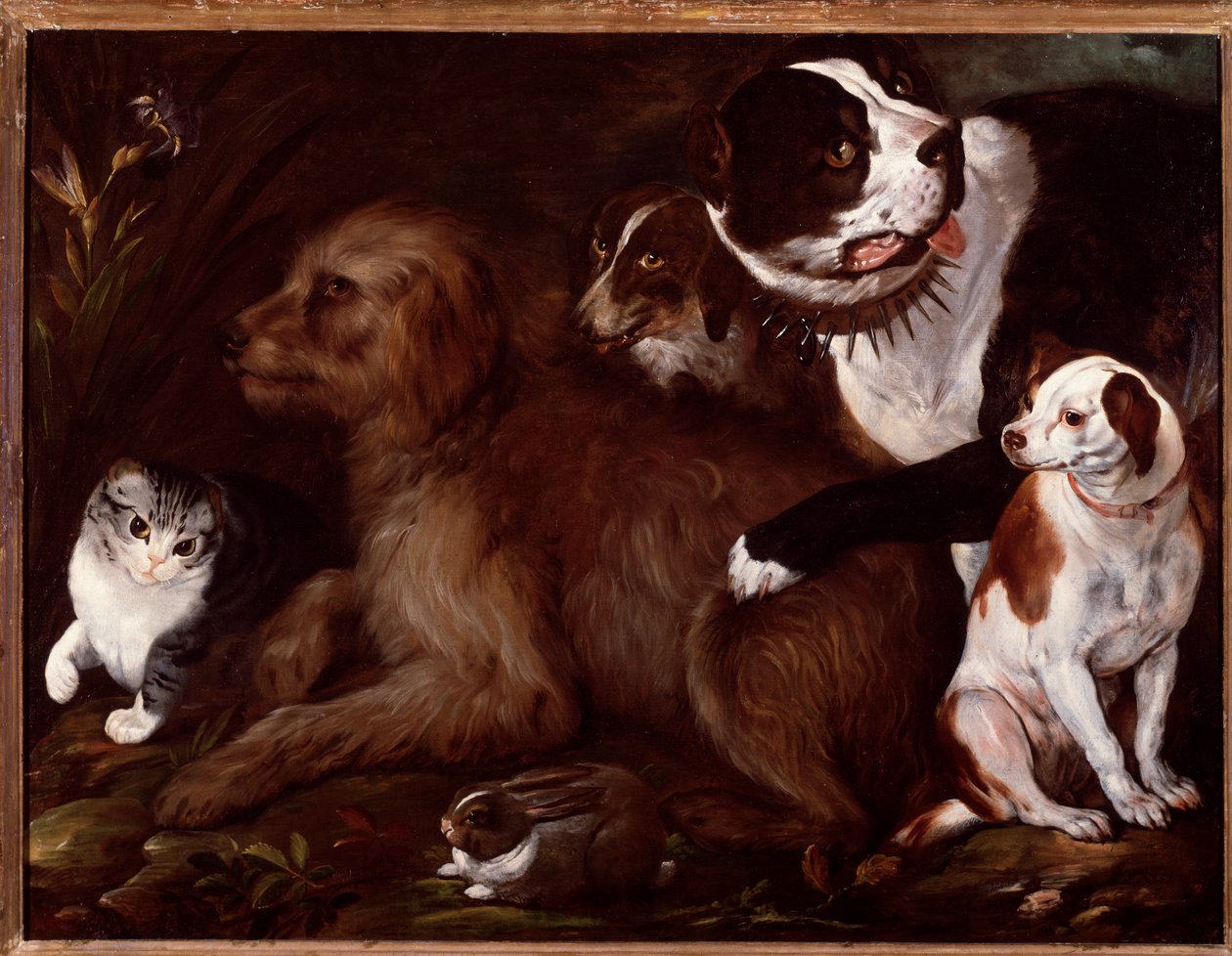 Cani Medici, con un gatto e un coniglio dalla scuola italiana da Italian School