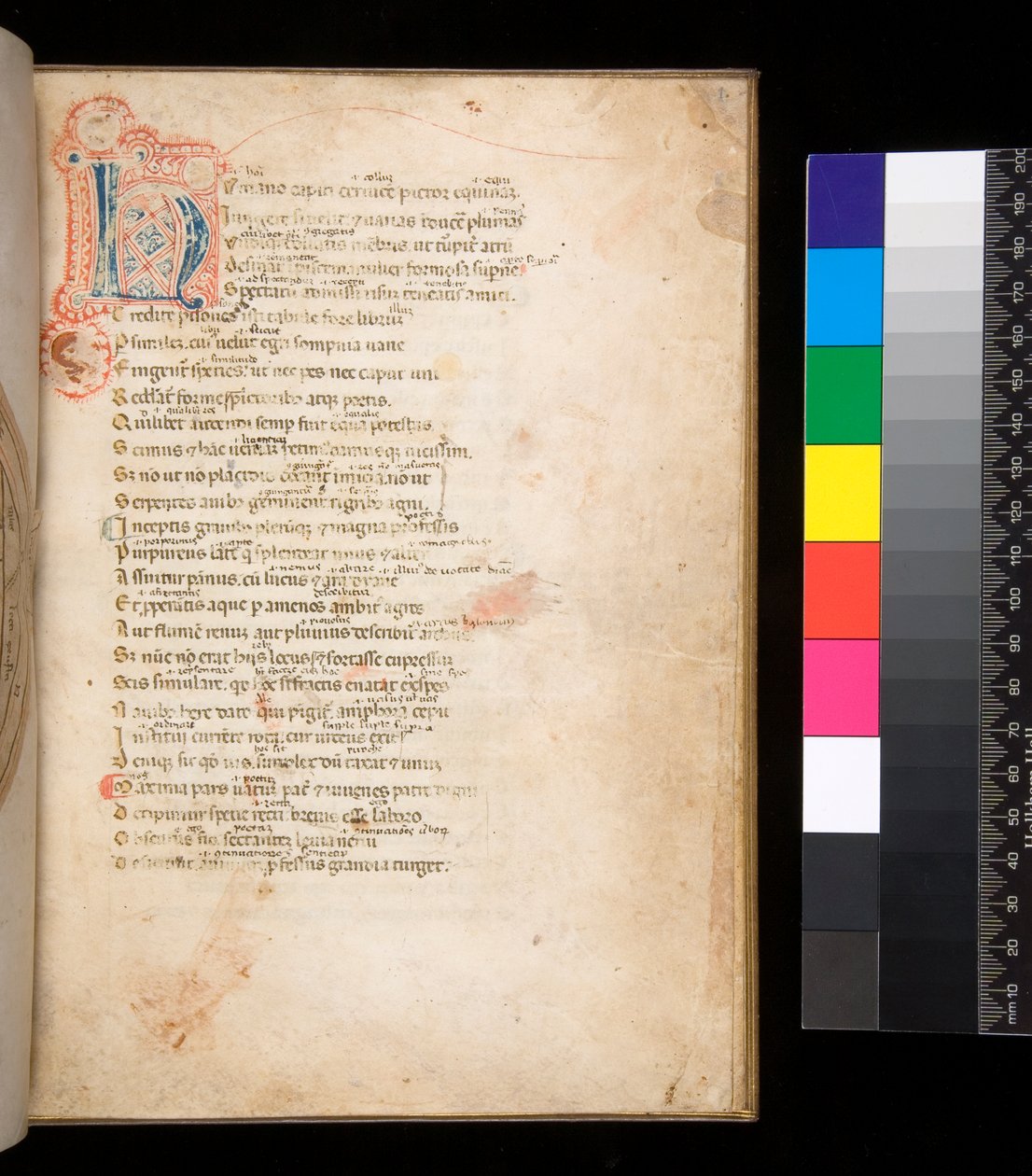 Ms 315. Orazio, Ars Poetica e Epistulae, f.1r. Iniziale decorata [N] in blu e rosso con riempimento a scacchi e decorazione a penna circostante in rosso da Italian School