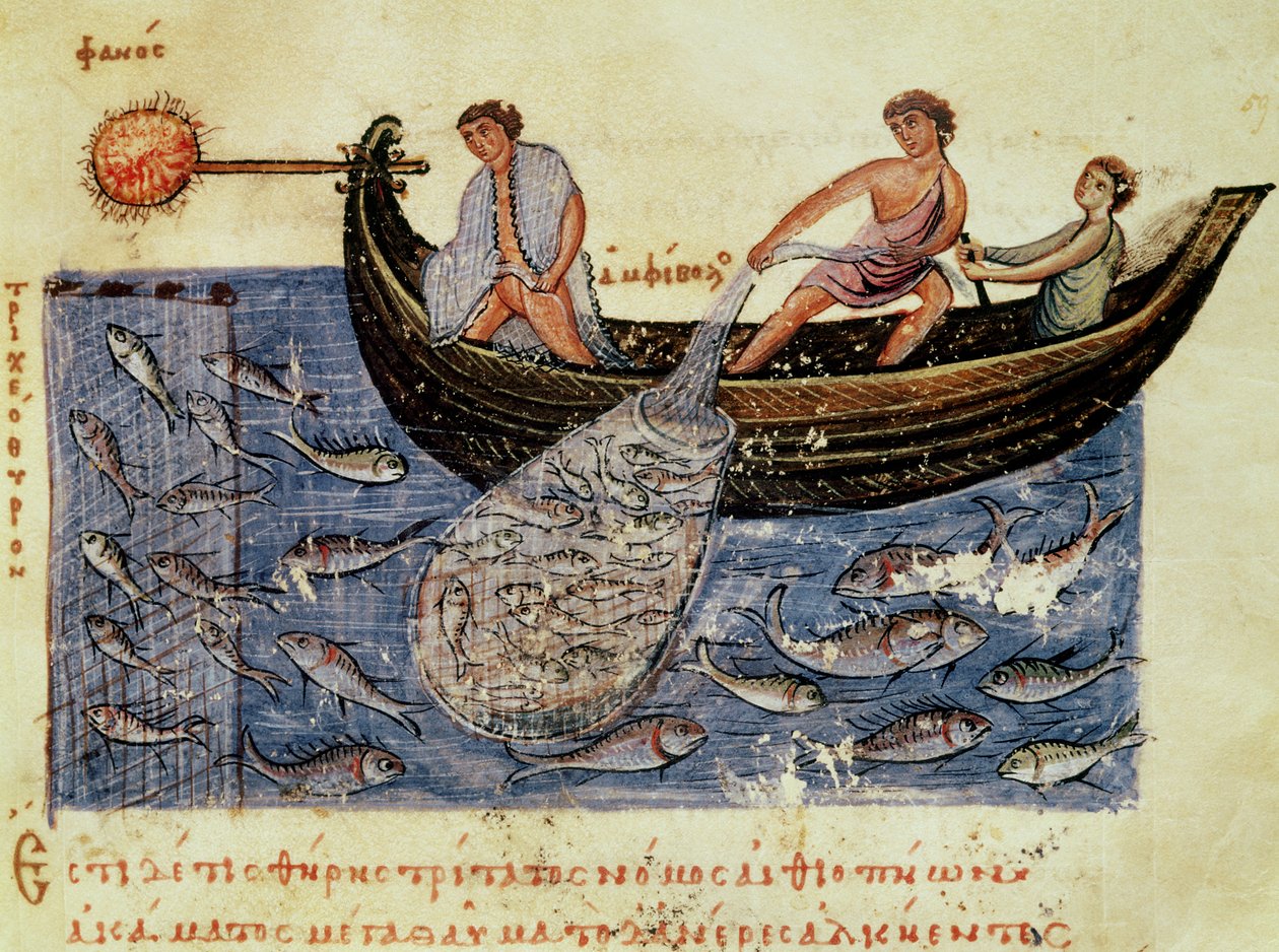 Pesca con la rete, illustrazione dall