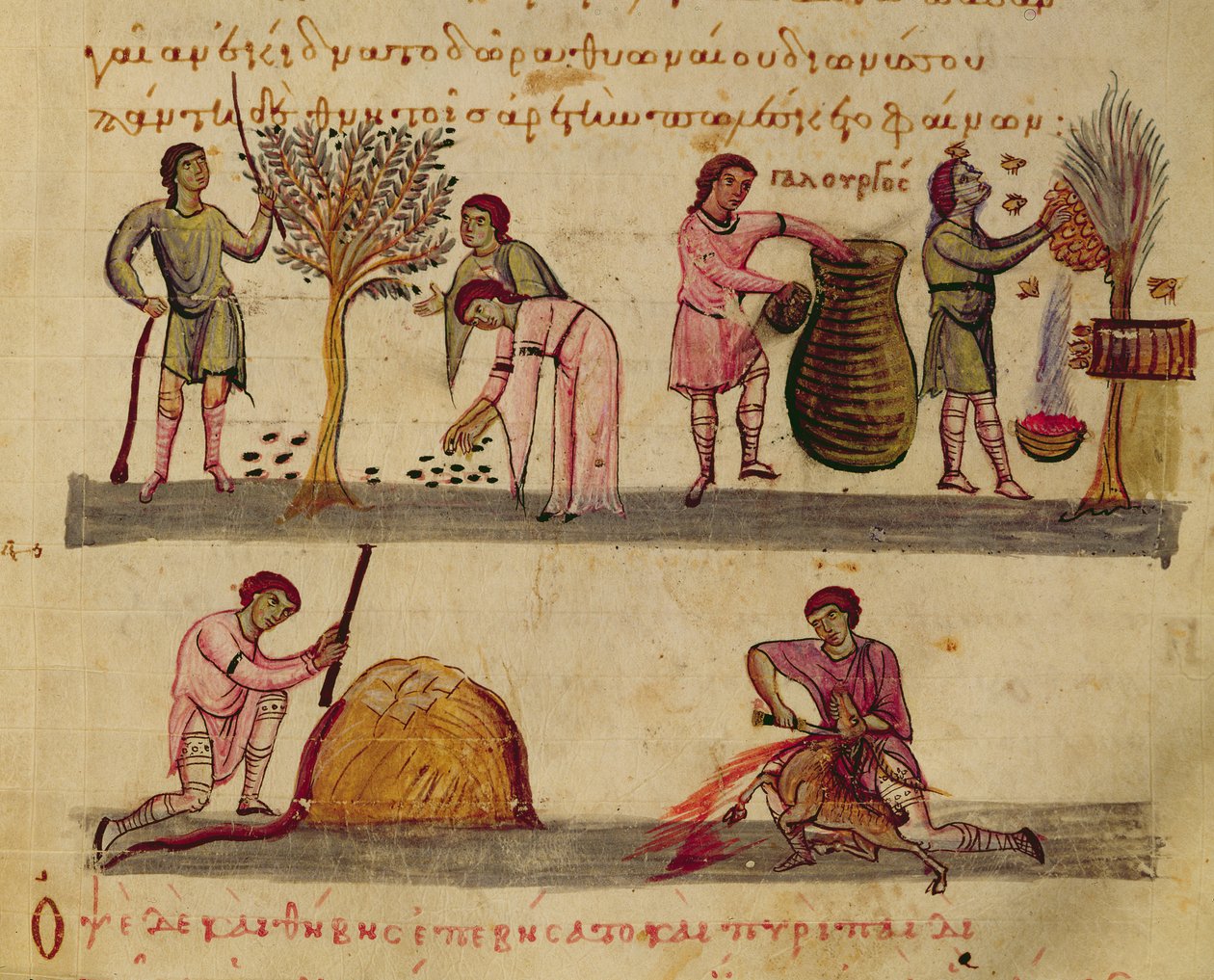 Ms Grec 479 Lavoro nei campi, illustrazione dal Cynegetica di Oppiano da Italian School