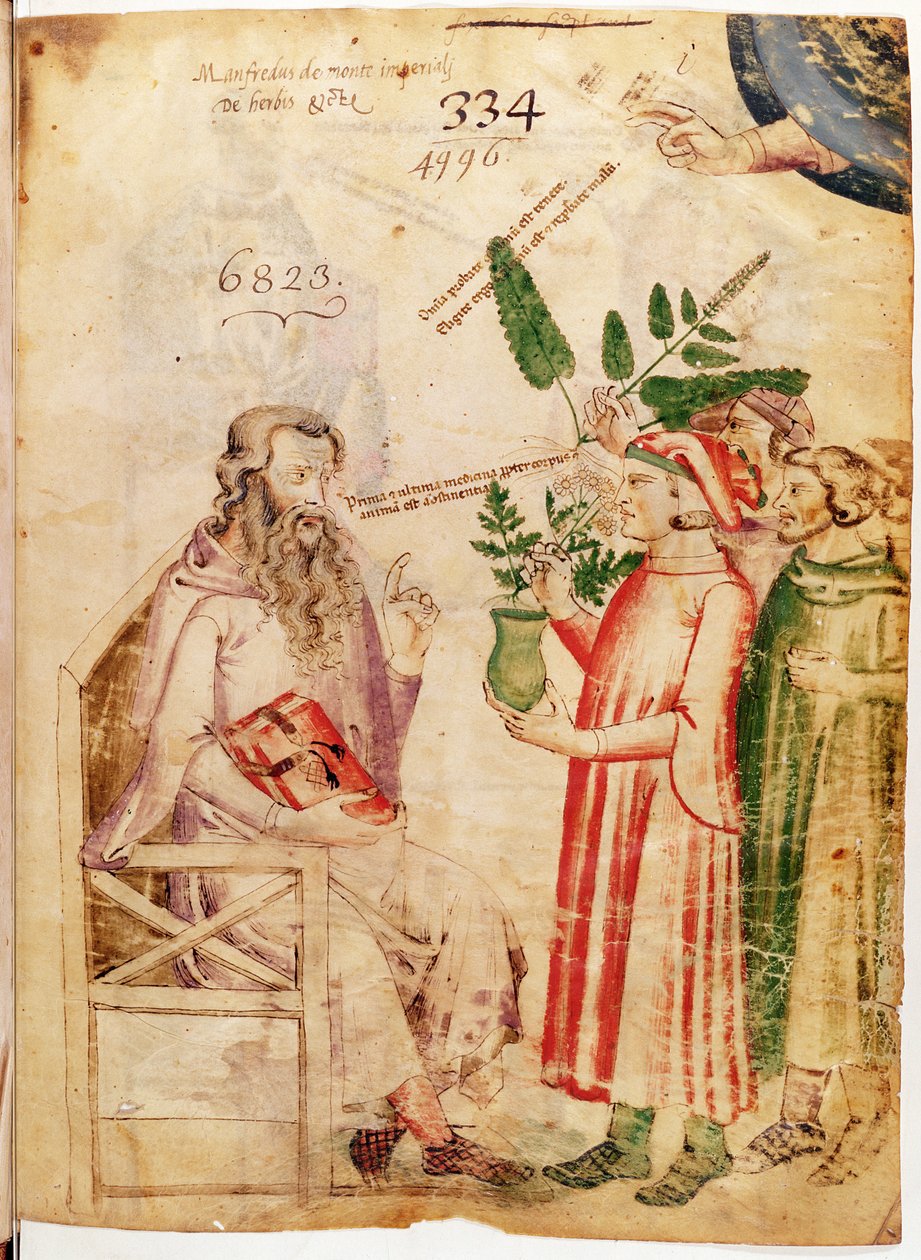 Uomini che presentano piante a un uomo sconosciuto, da De Herbis di Manfredus de Monte Imperiali da Italian School
