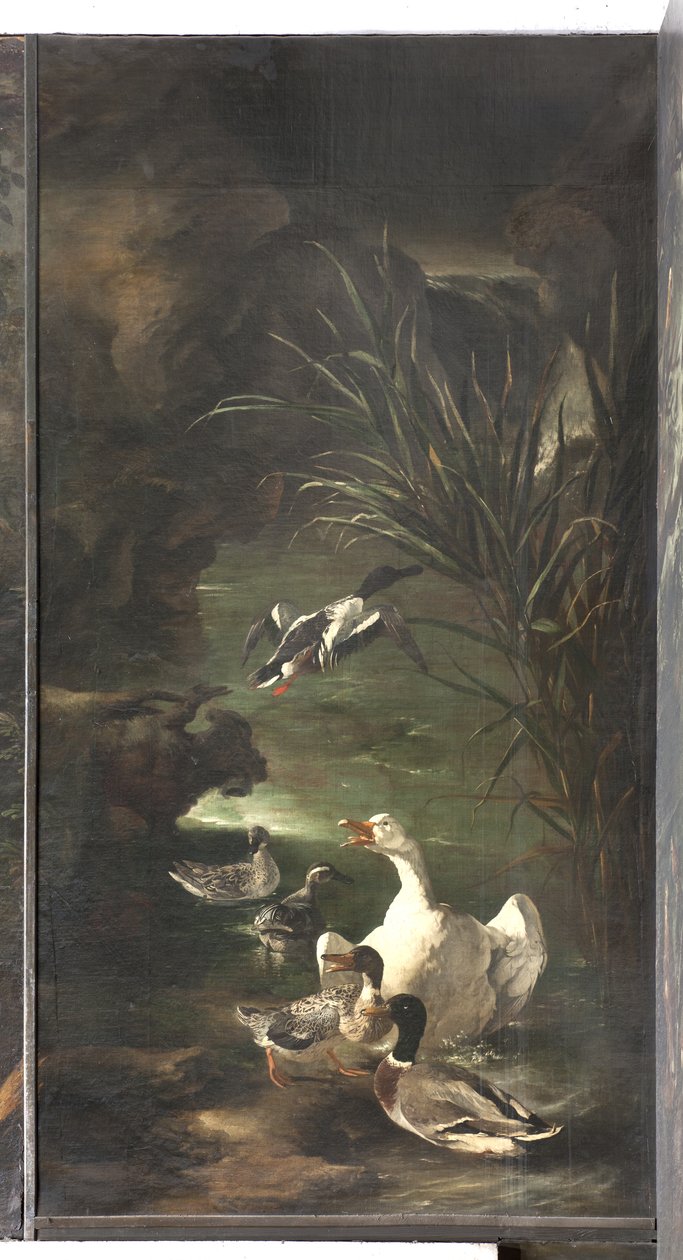 Mito di Orfeo: cigno e anatre, c.1650-60 da Italian School