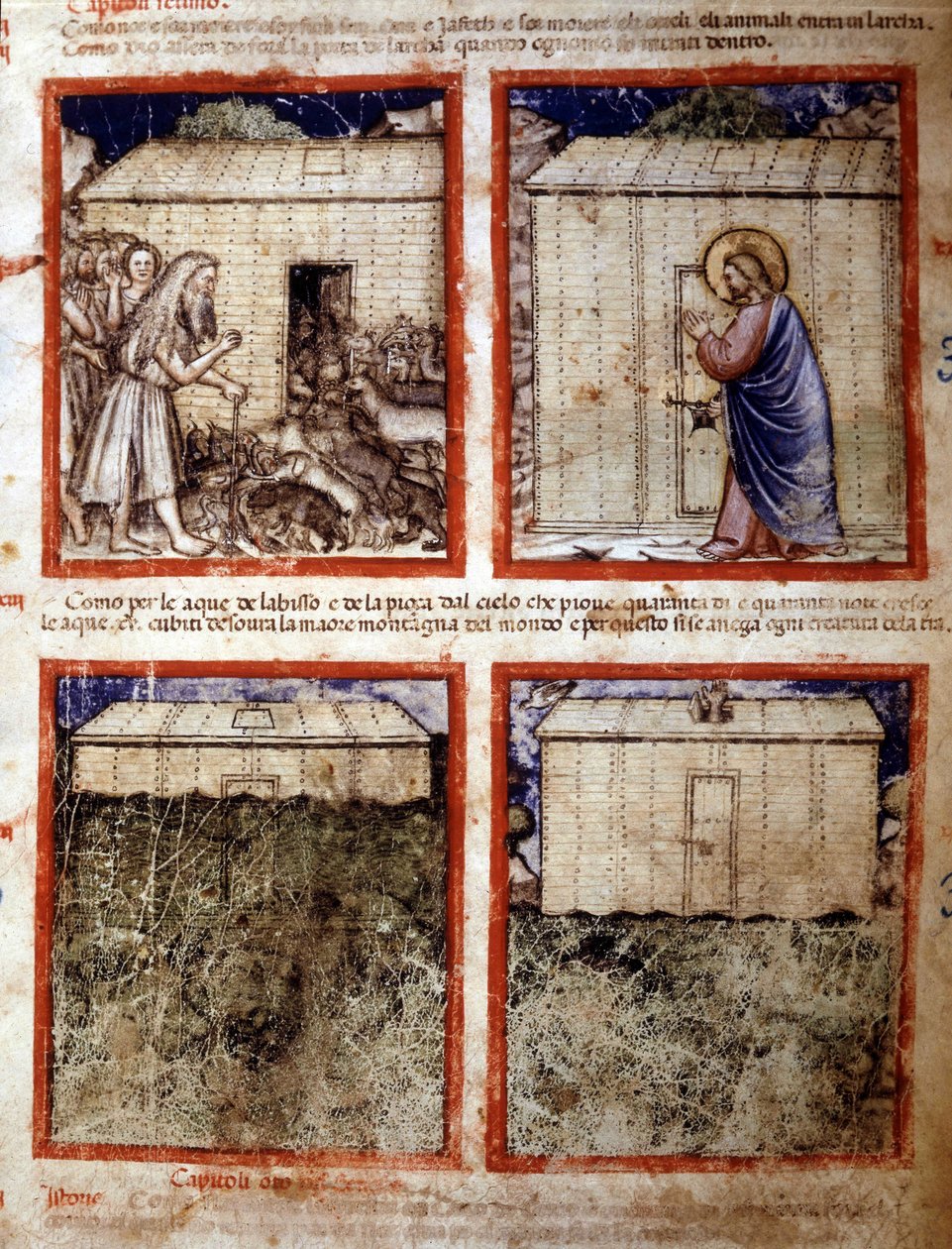 Arca di Noè, Miniatura tratta dal codice 212 (o codice padovano o Bibbia di Padova) 1390-1400 Rovigo, Accademia dei Concordi da Italian School