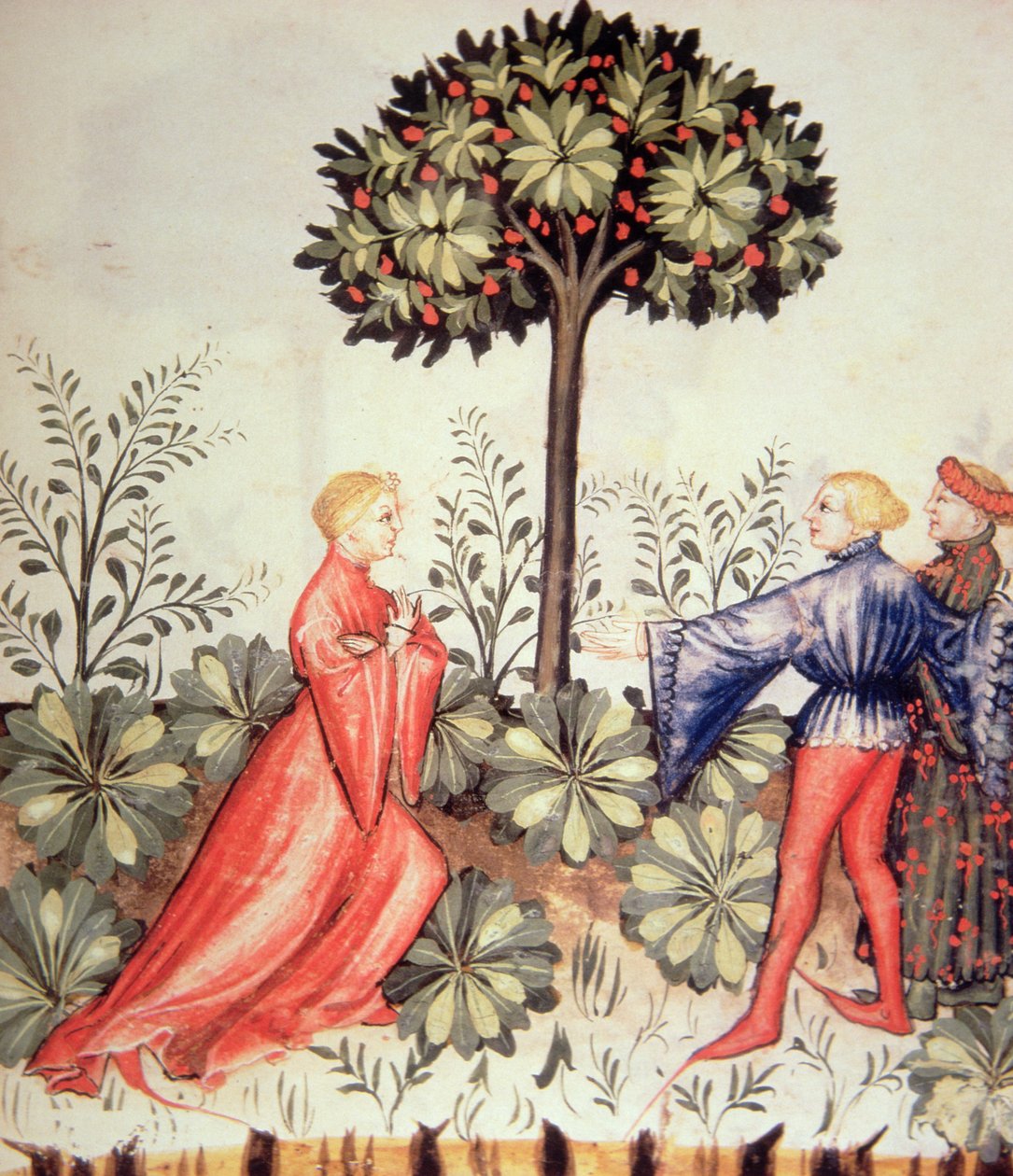 Nova 2644 fol.24r Raccolta di senape, da Tacuinum Sanitatis da Italian School