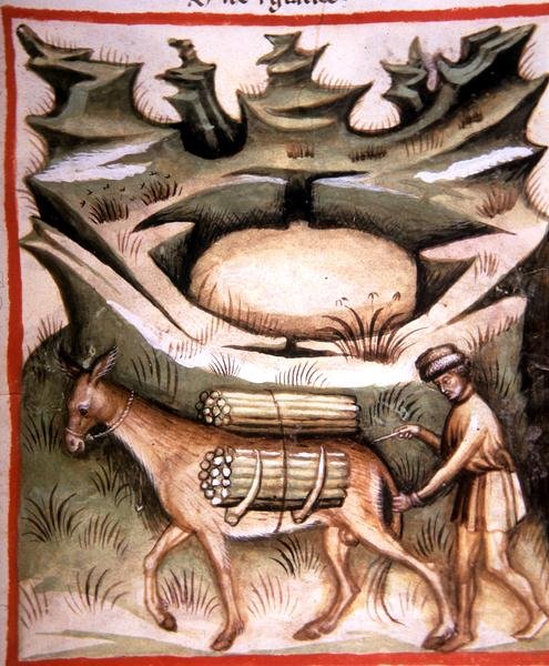 Nova 2644 fol.90r Neve e Ghiaccio, da 