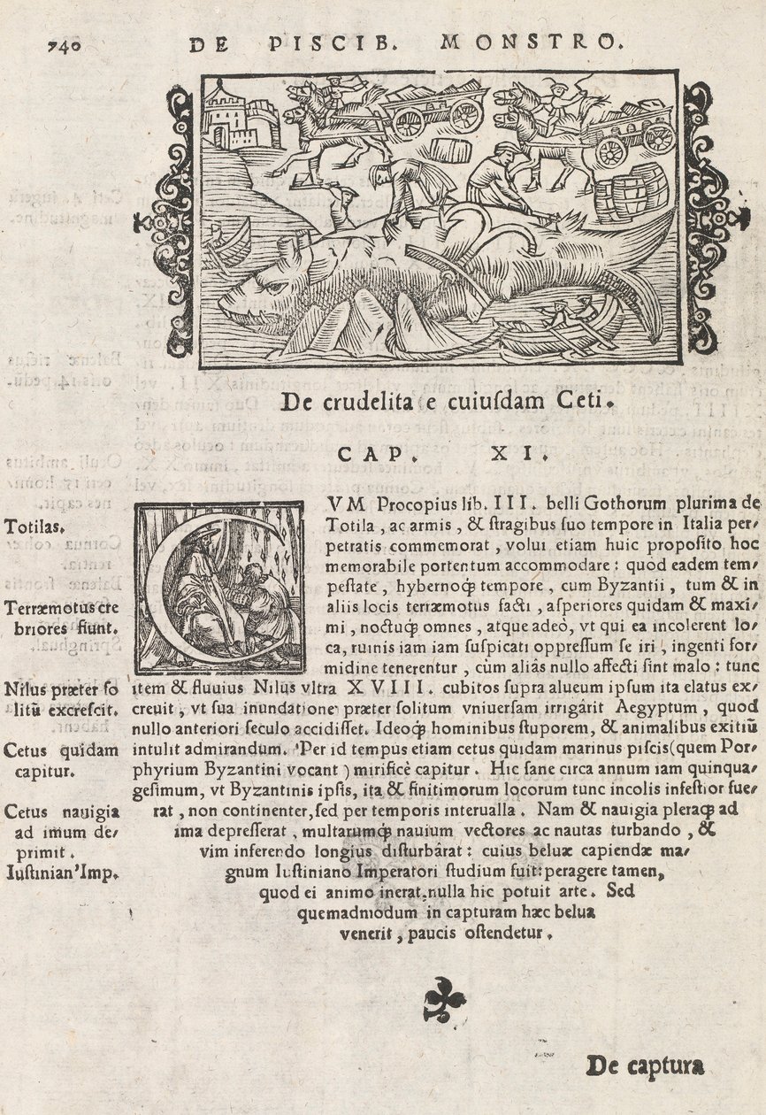 Pagina 740 da Historia De Gentivus Septentrionalibus di Magnus Olaus, Roma 1565 da Italian School