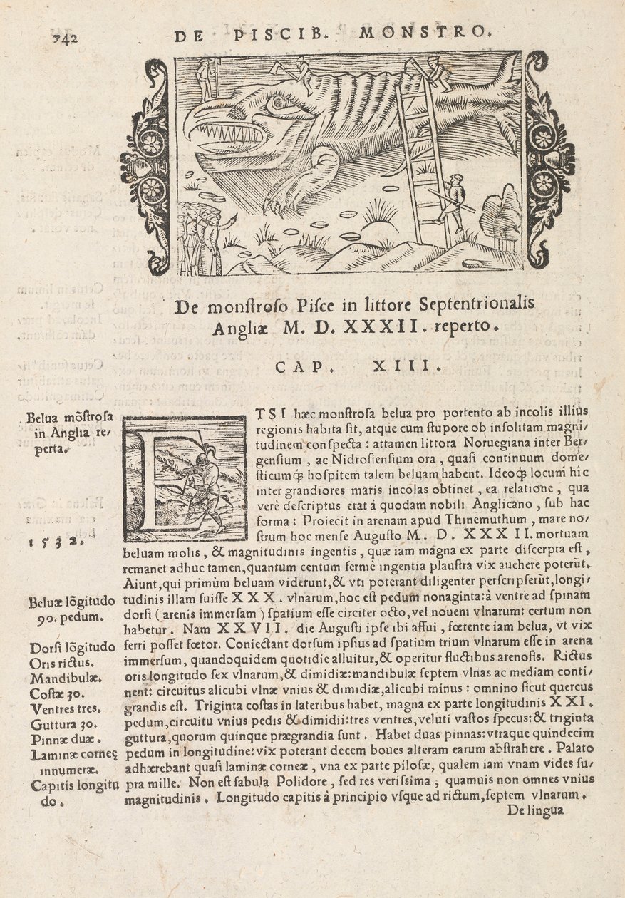 Pagina 742 da Historia De Gentivus Septentrionalibus di Magnus Olaus, Roma 1565 da Italian School