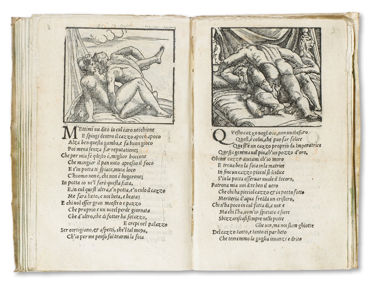 Pagina da 