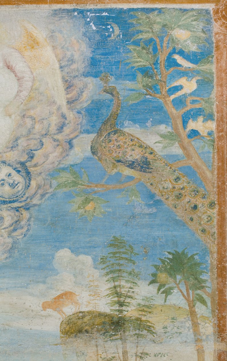 Pavone (dettaglio) da Italian School