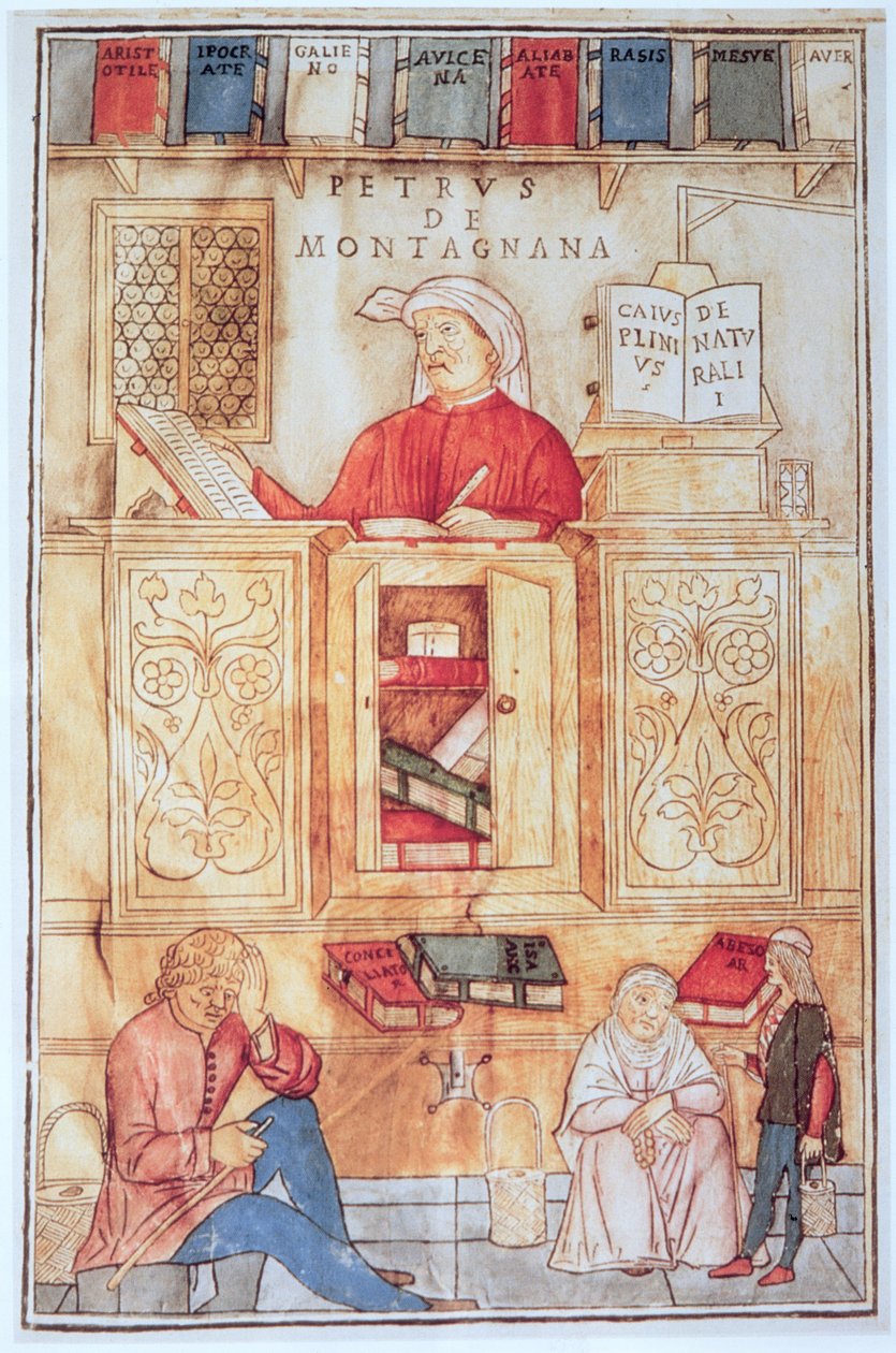 Petrus de Montagnana, illustrazione da 