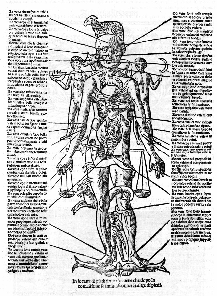 Tavola che rappresenta un corpo umano con la posizione di tutti gli organi e i segni zodiacali corrispondenti a loro per le loro influenze astrologiche. Tavola tratta da 